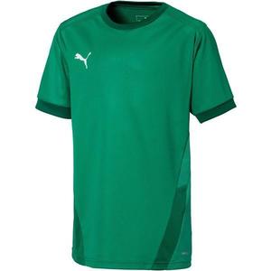 Tricou copii Puma Teamgoal 23 Jersey Jr 70416005, 164, Verde imagine