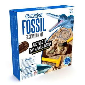 Kit paleontologie - Fosile imagine