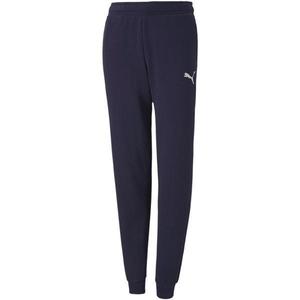 Pantaloni copii Puma Teamgoal 23 Casuals Pants Jr 65671306, 164, Albastru imagine