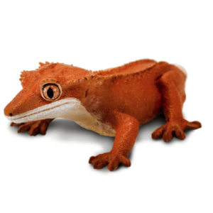 Figurina - Crested Gecko | Safari imagine