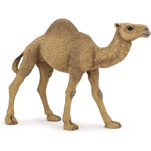 Figurina - Wild Animal Kingdom - Dromedary | Papo imagine