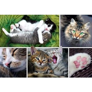 Puzzle 1500 piese - Just Cat Things | Trefl imagine