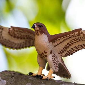 Figurina - Wildlife Animal - Red-Tailed Hawk | Safari imagine