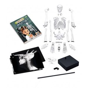 Jucarie educativa - Skeleton 45 cm | Buki imagine