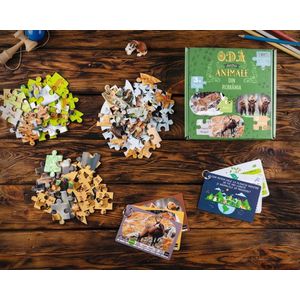 Puzzle 3x50 piese - Oda pentru animale din Romania | Titia imagine