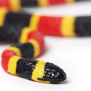 Figurina - Coral Snake Baby | Safari imagine