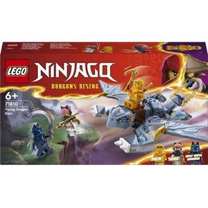 Lego Ninjago - Tanarul Dragon Riyu imagine