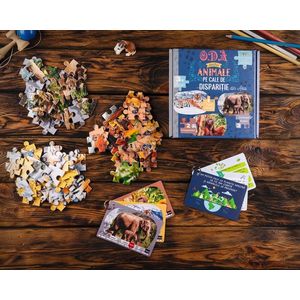 Puzzle 3x50 piese - Oda pentru Animale pe cale de disparitie din Asia | Titia imagine