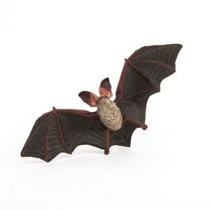 Figurina - Wild Animal Kingdom - Bat | Papo imagine