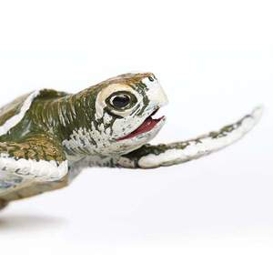 Figurina - Kemp's Ridley Sea Turtle Baby | Safari imagine