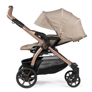 Carucior 2 in 1 Peg Perego Book Mon Amour imagine