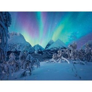 Ravensburger - Puzzle spectacol arctic 1500 piese imagine