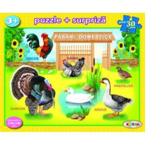 Puzzle - Pasari domestice | Dorinta imagine