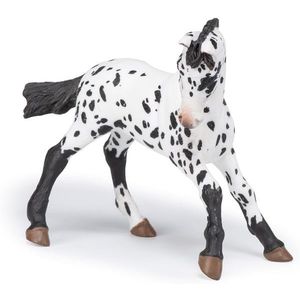 Figurina - Black appaloosa foal | Papo imagine