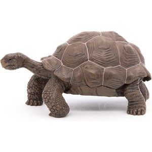 Figurina - Galapagos Tortoise | Papo imagine