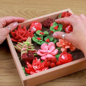 Set creativ - Wood&Craft DIY Succulents - Passion | Okto Clay imagine