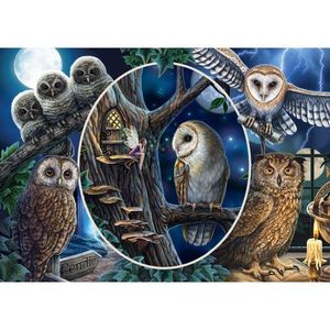 Puzzle 1000 piese - Lisa Parker - Mysterious Owls | Schmidt imagine