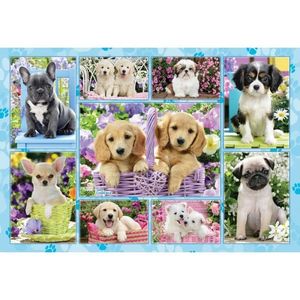 Puzzle 200 piese - Puppies | Schmidt imagine