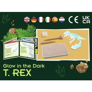 Set educativ STEM - T-Rex fosforescent | Kosmos imagine