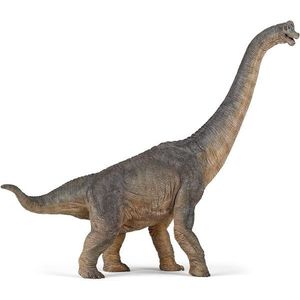 Figurina - Dinosaurs - Brachiosaurus | Papo imagine