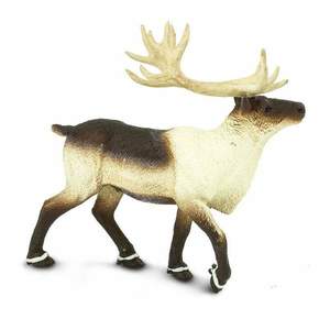 Figurina - North American Reindeer | Safari imagine