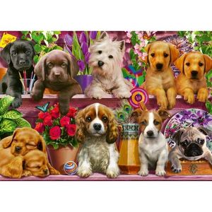 Puzzle 500 piese - Puppies on the Shelf | Schmidt imagine