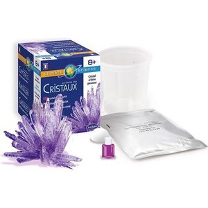 Kit educativ - Crystal Growing Kit - Violet | Sentosphere imagine