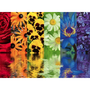 Puzzle 500 piese - Floral Reflections | Ravensburger imagine