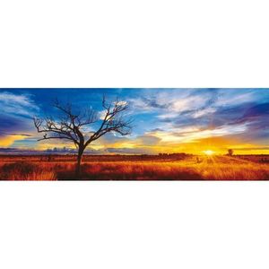 Puzzle 1000 piese - Desert Oak at Sunset, Northern Territory Australia | Schmidt imagine