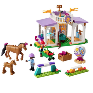 LEGO Friends - Dresaj pentru cai [41746] | LEGO imagine