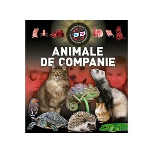 Animale de companie 3D imagine