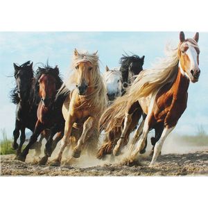 Puzzle 1000 piese - Cai la Galop | Trefl imagine