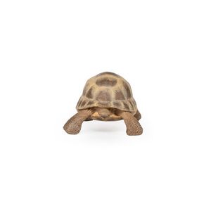 Figurina - Wild Animal Kingdom - Hermann's Tortoise | Papo imagine