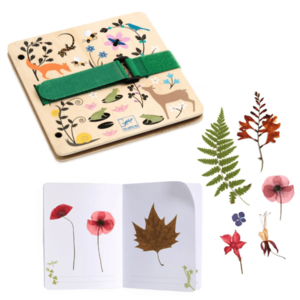 Set creatie - Botanica | Djeco imagine