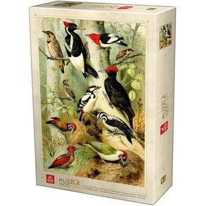 Puzzle 1000 piese - Encyclopedia - Birds | Deico Games imagine