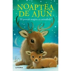 Noaptea de Ajun, 10 povesti magice cu animalute, Rachel Delahaye imagine