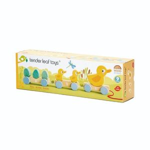 Trenuletul tractabil din lemn cu ratuste, Tender Leaf Toys, 9 piese imagine