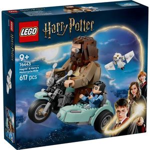 LEGO® Harry Potter - Hagrid si Harry intr-o tura cu motocicleta (76443) imagine