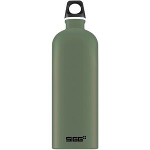 Bidon din aluminiu Traveller Leaf Green 1L imagine