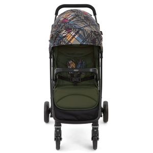 Carucior Graco Breaze Lite 2 Couture Fern imagine