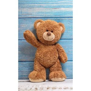 Prosop fata Teddy Bear 30x50 cm SunCity CBX191333TNL imagine