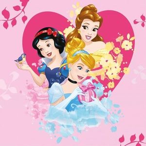 Prosopel magic Disney Princess 30x30 cm SunCity imagine