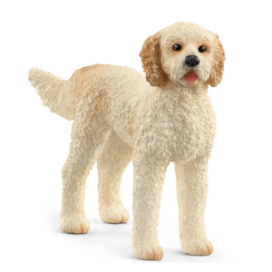 Figurine - Schleich - Goldendoodle | Schleich imagine