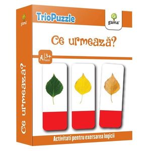 Editura Gama, Triopuzzle, Ce urmeaza? imagine