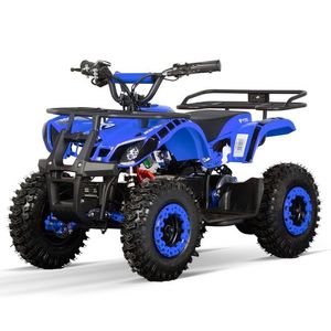 ATV electric pentru copii NITRO Torino Quad 1000W 36V, Snowy tyres, Albastru imagine