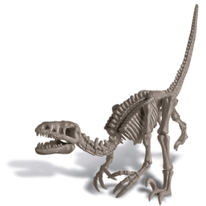 Set de joaca - Sapa si descopera dinozauri - Velociraptor | 4M imagine