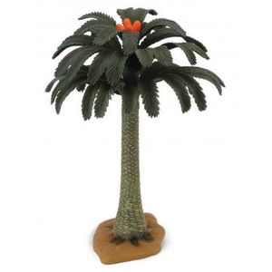 Copac Cycad Collecta imagine