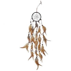 Dreamcatcher indian nativ imagine