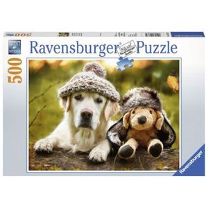 Puzzle Caine Cu Palarie, 500 Piese imagine