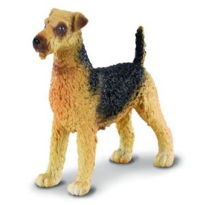 Terrierul Airedale - Collecta imagine